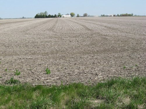 Property photo 27 - 172 Acres Offered in 3 Tracts - Prime Farmland